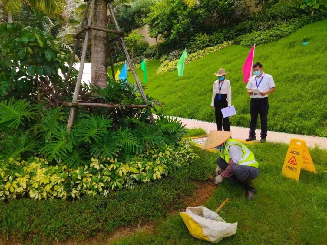 Www Dj8dj Com 村民变工匠 看鼎龙技工教师的 造血 魔法