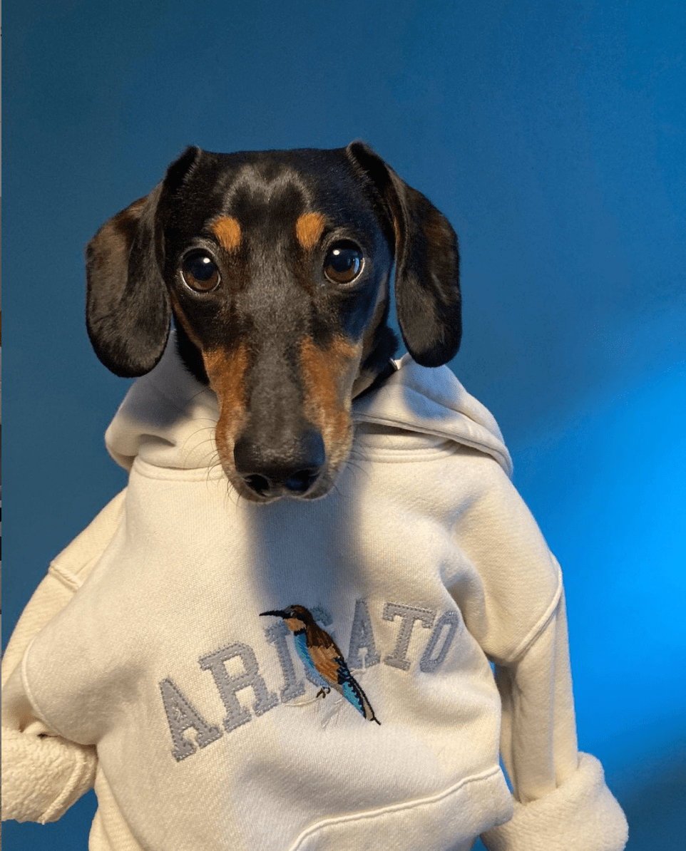 Active|是时候找出妈妈最土的运动裤了