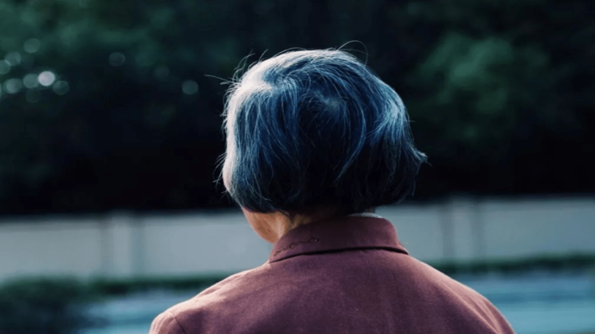 营养|年老犯糊涂？老年痴呆可预防，关注老人家3个变化