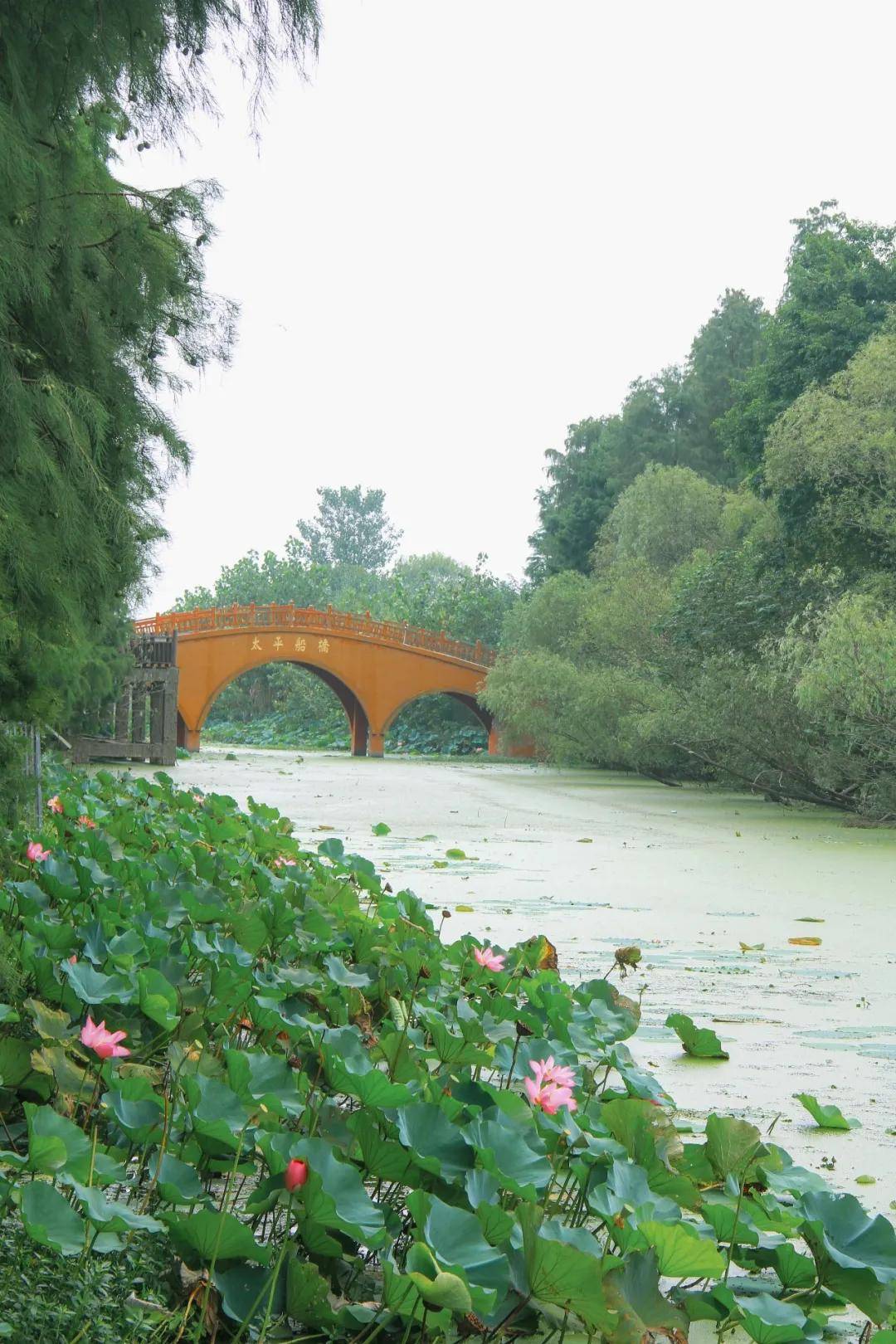 防疫赏景两不误,邮城景区欢乐回归!_高邮市