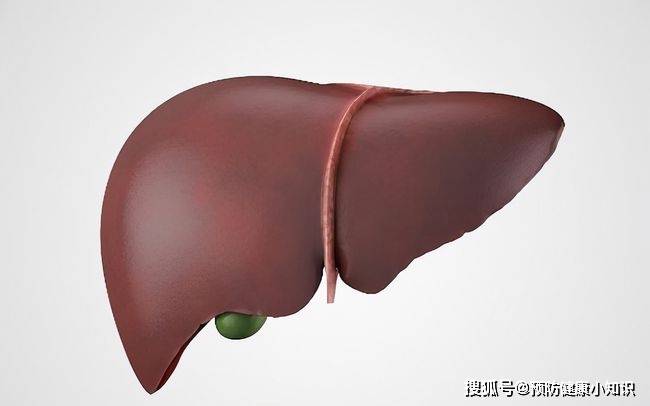 氨气|肝脏“福音”已发现！平时敞开喝，排出肝毒口臭也不见了，肝会感激你
