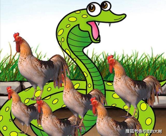 蛇是怎么吞掉东西的 27c69bb7c386420fafcd9e074dfa1ad3.jpeg