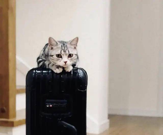 总想|一个配不上你的世界的标志就是一些配不上你的人总想跟你喝一杯