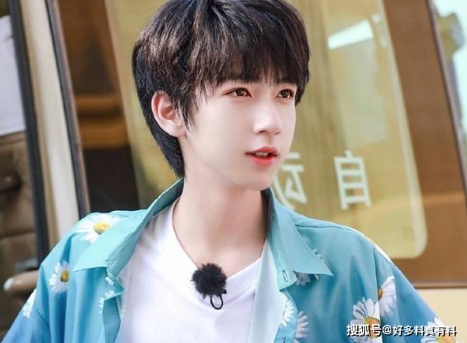 原创贺峻霖411事件是什么 贺峻霖那么多的称号是怎么来的