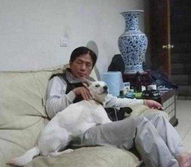 撿流浪狗回家被老爸罵慘，現在外出了，他反倒是自己寵得不行 ! 萌趣萌寵 第2张