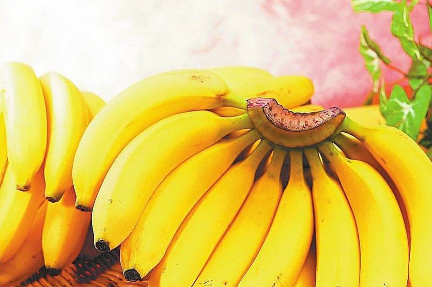 九个月宝宝能吃一整根香蕉吗 15f0a6d719764dd09b4d9c65d4b9d24b.jpeg