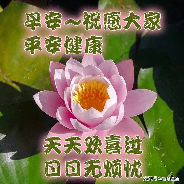 2021年漂亮的清晨早上好带字祝福图片早上好问候表情图片带字带祝福语