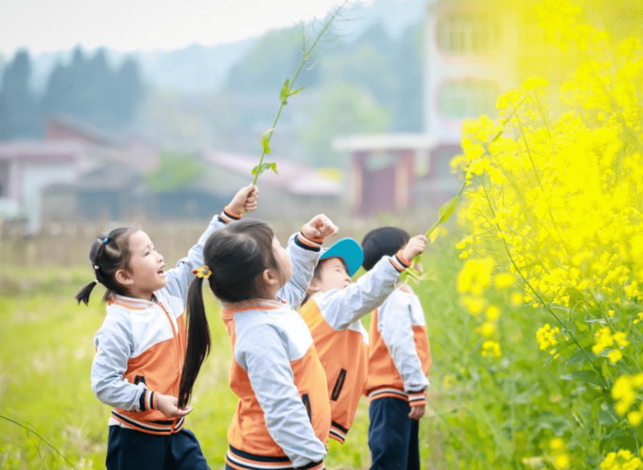 小学老师|幼儿园选私立还是公立？小学老师就能告诉你答案，希望你没选错