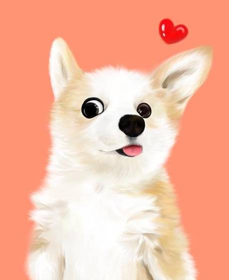 猎犬|为什么要给柯基做断尾？不只是为了好看，其实用心良苦操碎了心