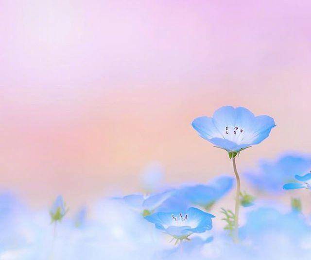 132c94bbede3408d8a6d988fe920cb90.jpeg