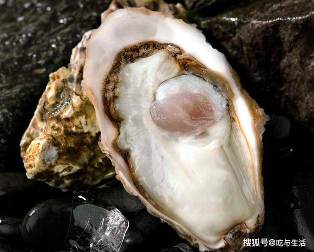 怎么挑选生蚝肥不肥 237fe215e9784660a94ee1acc43c9a7d.jpeg