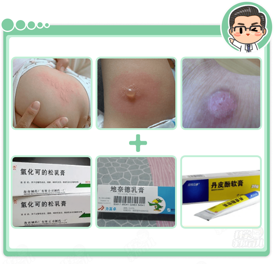 除虫菊|触目惊心！蚊子传染19006例登革热，秋季严防这种“毒蚊”！