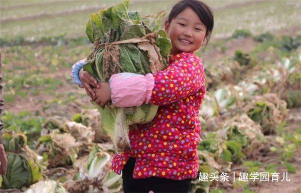 头胎|老人催生二胎要不要答应？读完这篇文章，或许你会找到答案