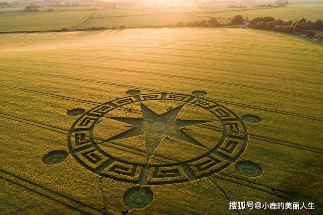 麦田怪圈 究竟是地球人的恶作剧 还是外星人的杰作 粉紫色