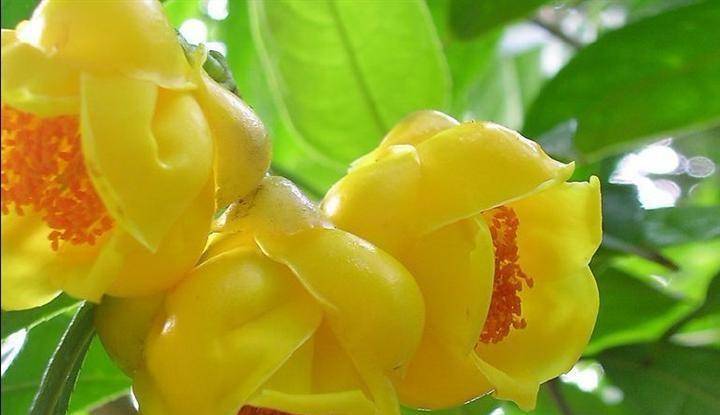 90b26ada76d84b2c8a7892192515888d.jpeg
