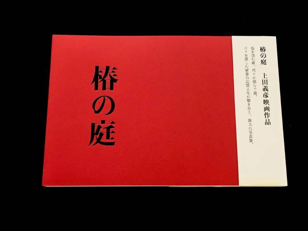 文章配图-23