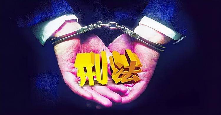 女子在高铁上殴打列车长当众脱掉衣服叉腿拦截过道如何评价