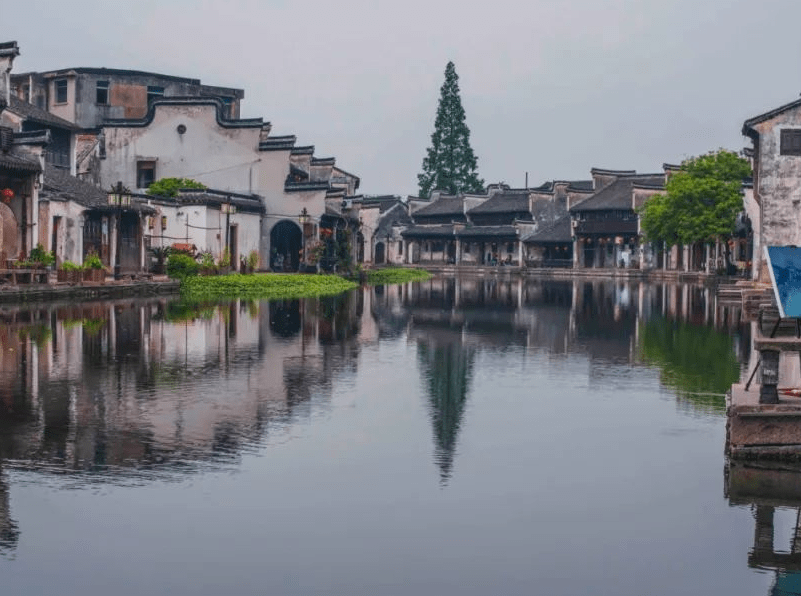 如果打算在浙江省养老，除了杭州和宁波，你还可以考虑这个城市