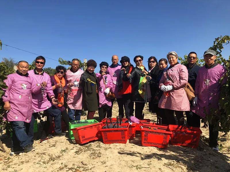 活动|第八届葡萄酒自酿节开启，火热报名中！