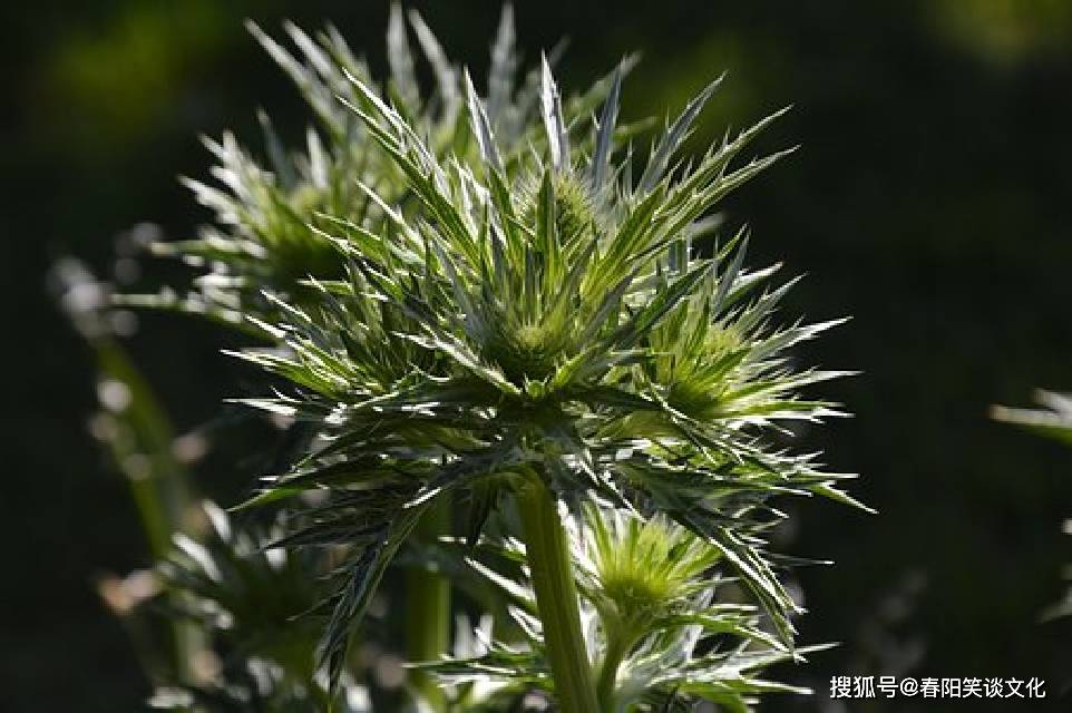 文章配图-4