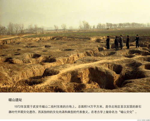磁山文化黍粟探源一粒种子可以改变一个世界