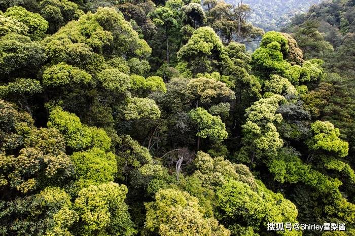 长三角唯一的国家公园，位于三省交界处，曾为保护生态拒绝了23亿元的投资