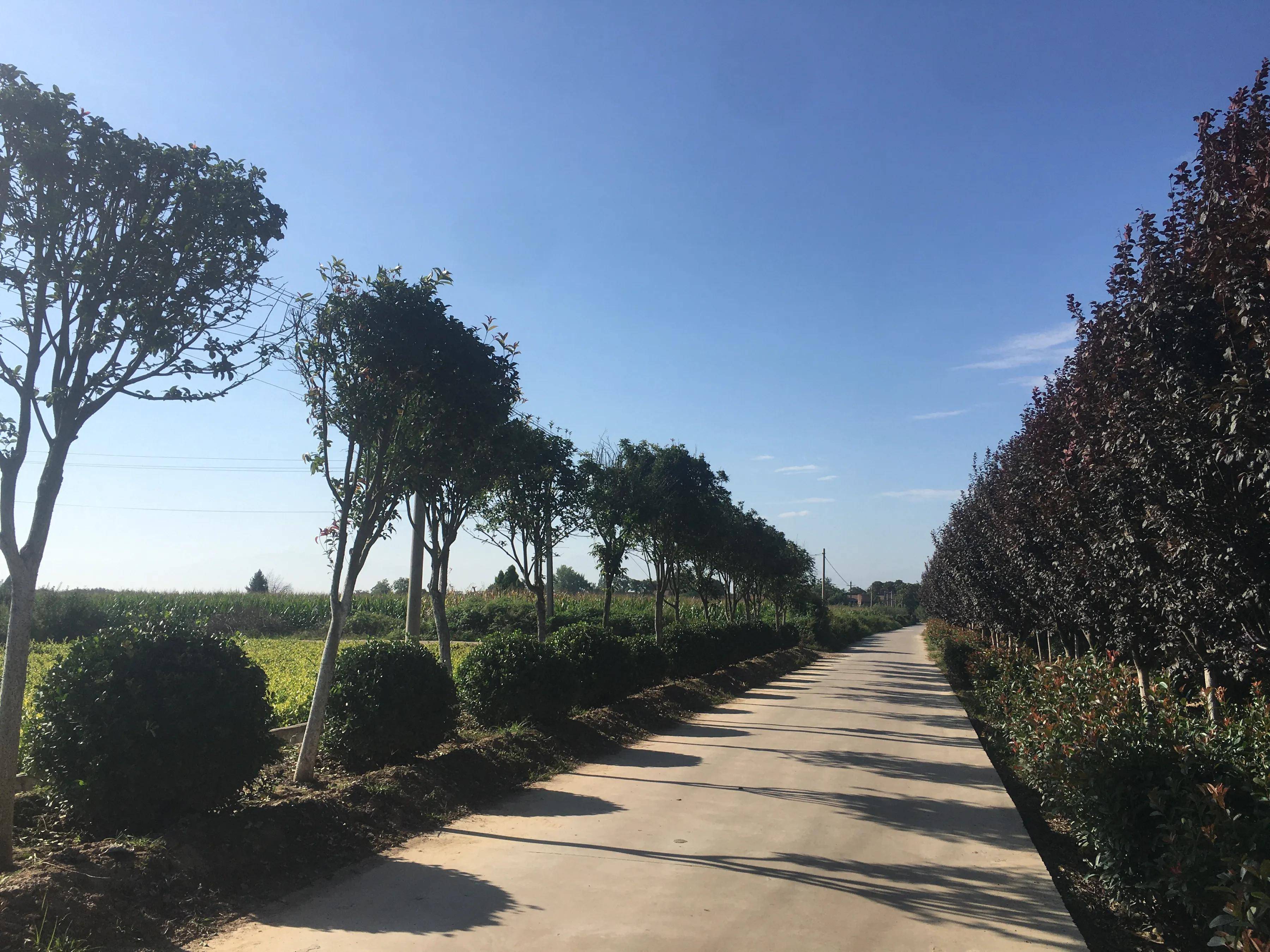 乡村振兴文化行·陕西省乾县王村镇梁家窑村风景超棒