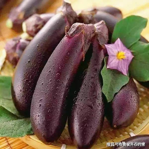 青茄子和紫茄子除了颜色不同 还有4点区别要知道 看完涨知识 紫皮