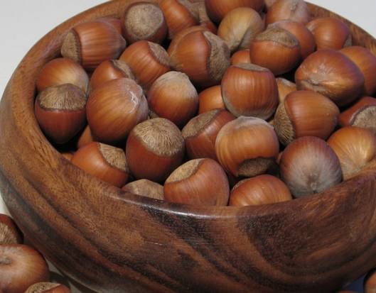 生活|立秋后，晚上当零食吃一把，补气益血，健脾胃，降血压，早食早好