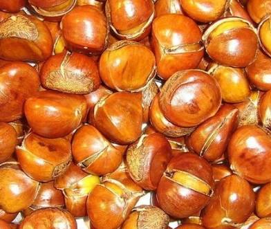 生活|立秋后，晚上当零食吃一把，补气益血，健脾胃，降血压，早食早好