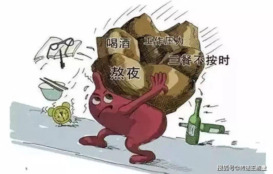 症状|肝内有癌，身体先知！身体若有这些“信号”，不妨留意一下