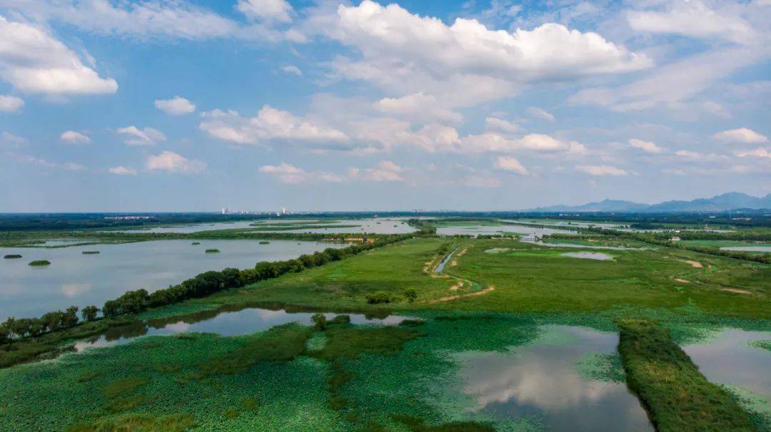 济南|这么美居然都免费！济南这些初秋必打卡的湿地公园，你都知道吗？