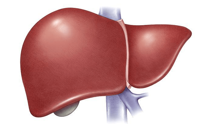 人群|乙肝人群不能吃羊肉？专家：真正不能吃的已列成清单，照做就行