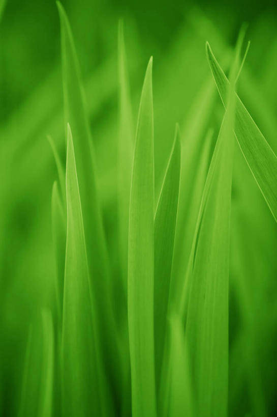 一曲牵动了稍稍的幽怨