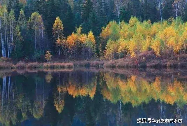 中国最早最美的秋天在这里 美的无可救药