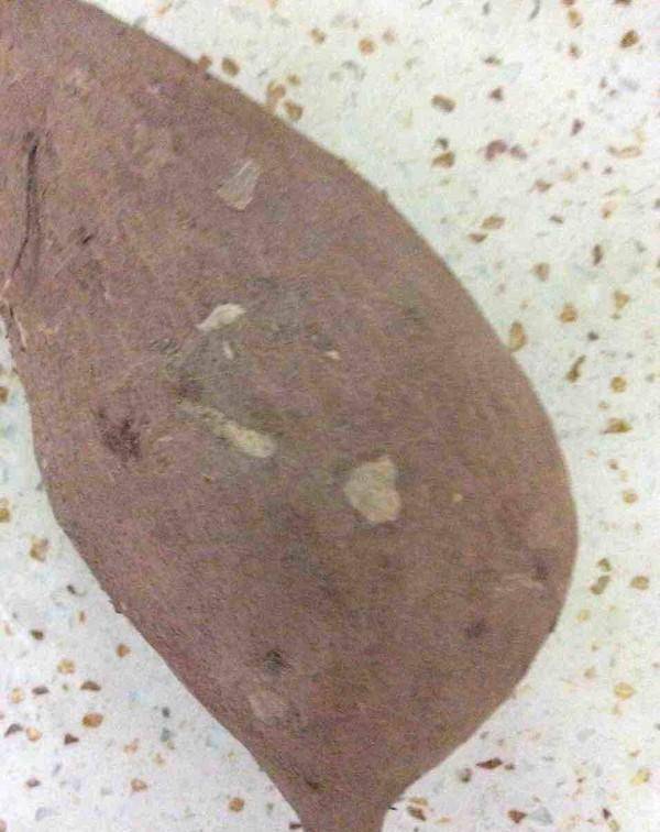 什么|早餐别老喝牛奶了,小米加一根它,早上吃一碗,精力充沛气色好!