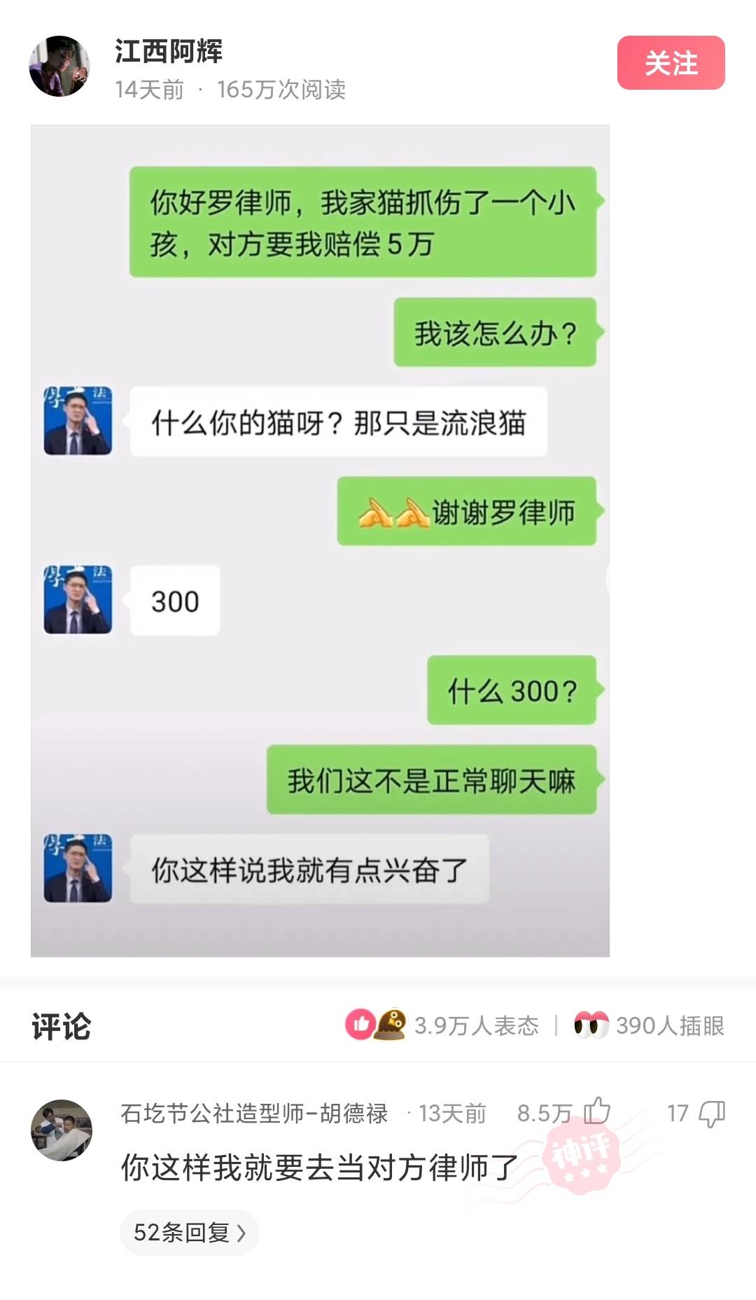 神回复养这样的宠物狗有什么需要注意的吗