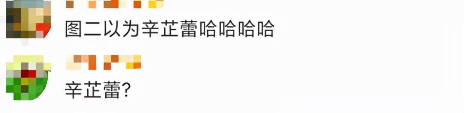 网友|倪妮新封面撞脸辛芷蕾？网友：这图有点辣眼睛...