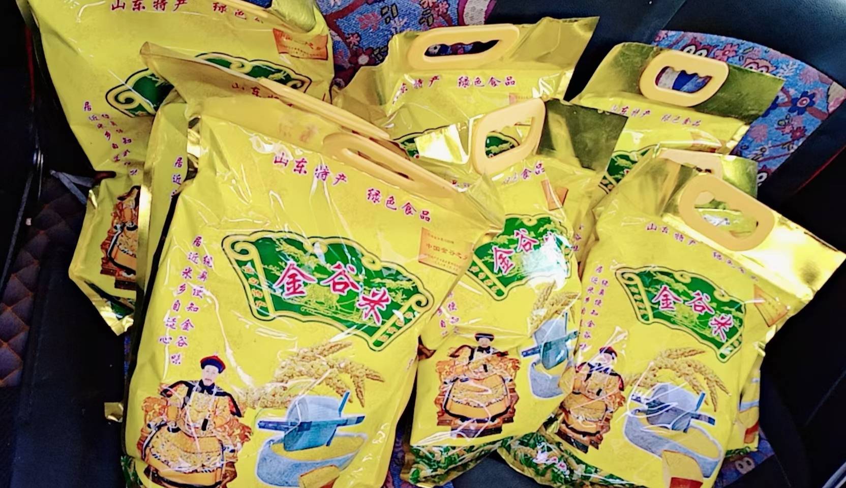 金乡小米是传统的"齐头占"谷子品种