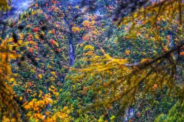 「老鸦山」彩林冷门秘境