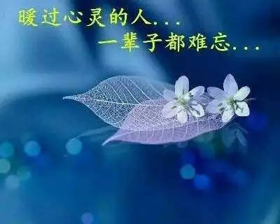 3dac7a813b9e42bf916f2d878210f9fa.jpeg