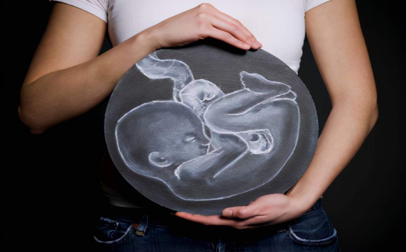 怀孕24周胎儿发育图图片