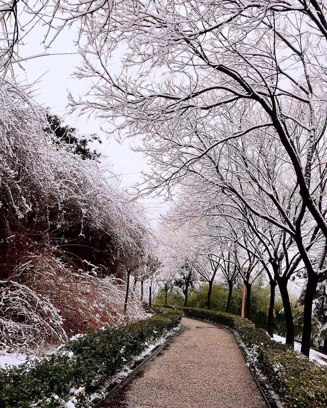 刘电海|井陉·景行！ | 富达杯“每日一景·井陉美”