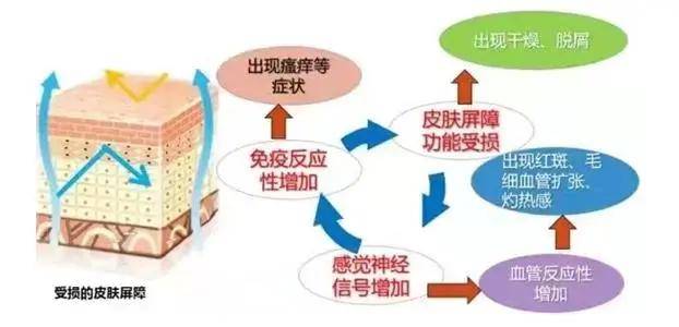 评价|这才是敏感肌修护的正确打开方式！