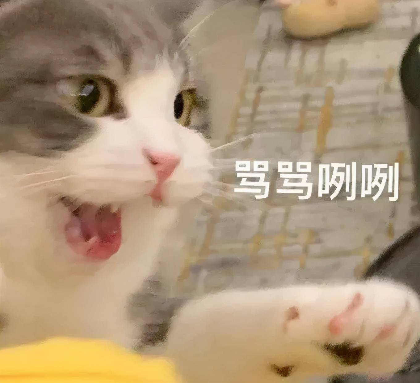 网友|倪妮新封面撞脸辛芷蕾？网友：这图有点辣眼睛...