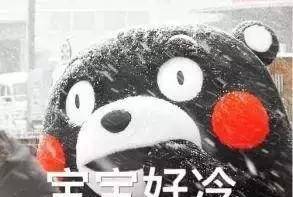 棉毛裤|冬天怎么穿“打底裤”才不土？记住这3点，保暖又显瘦~