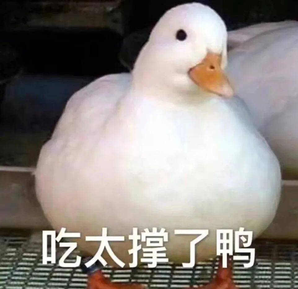 林允|林允近期爆照让人太意外了！她这算成功触底反弹了吗？