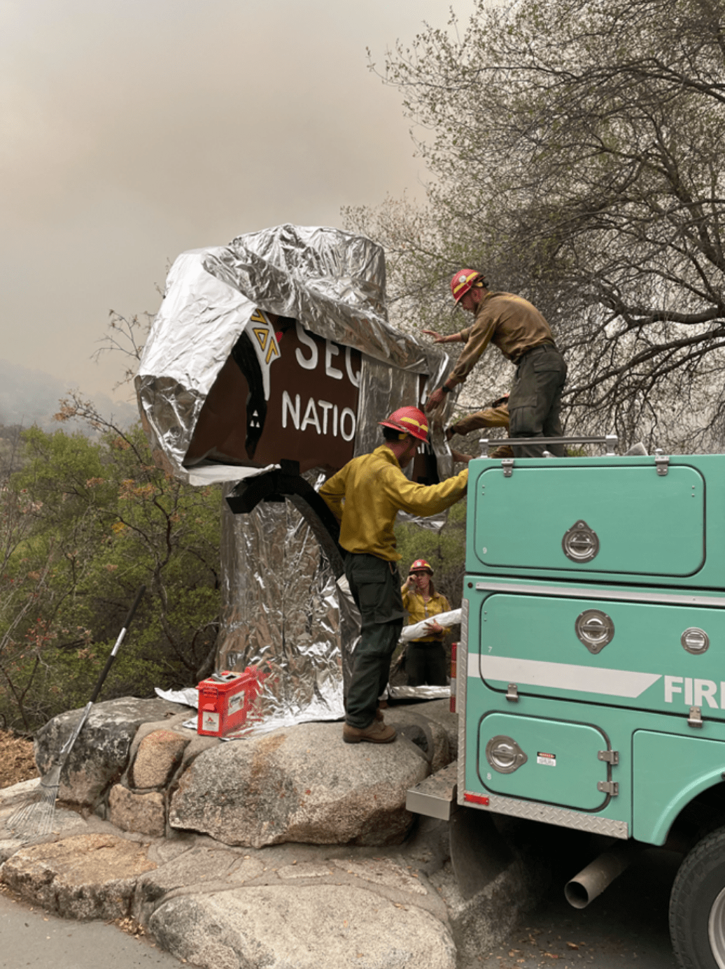 消防员给巨大的红杉包裹上铝箔，以期抵御加州大火的凶猛来袭