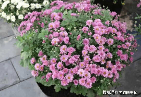 ff1357128acb4aa6af5d121153d27c2f.png