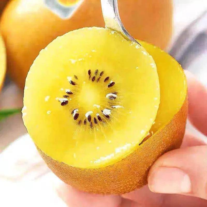 催熟|这种秋季应季水果，不易胖人也不易升糖